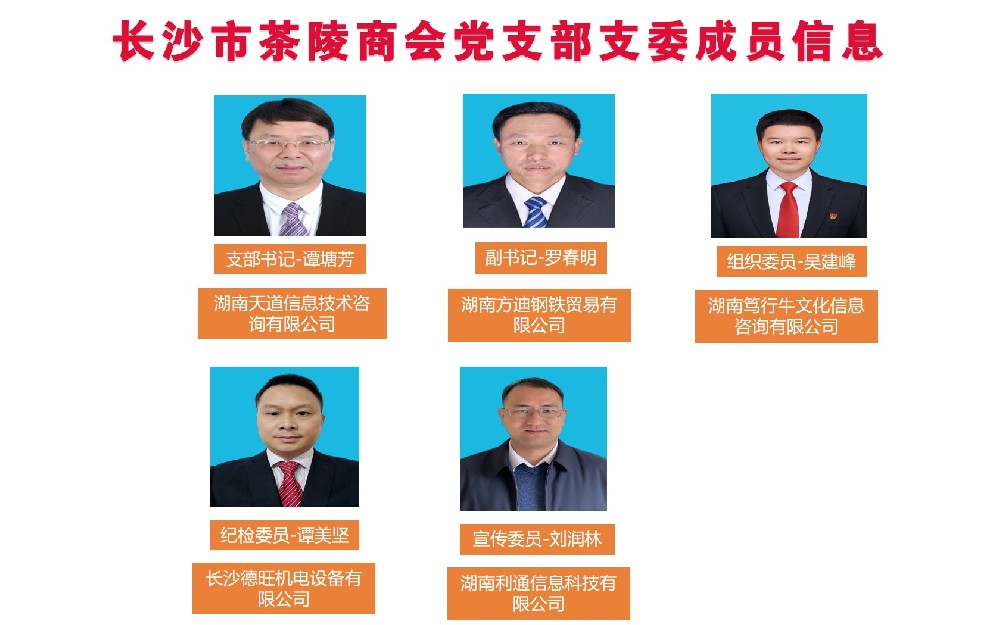 长沙市茶陵商会党支部支委成员介绍