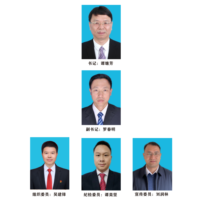 长沙市茶陵商会党支部支委成员介绍